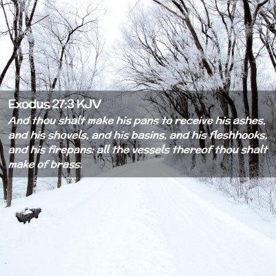 Picture 02 - Exodus 27:3 KJV - And thou shalt make his pans to receive his - Bible Verse Picture