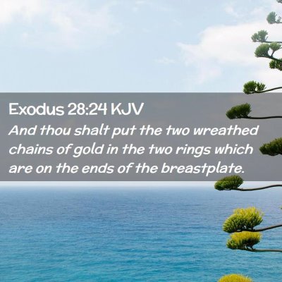 Picture 02 - Exodus 28:24 KJV - And thou shalt put the two wreathed chains of - Bible Verse Picture