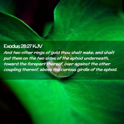 Picture 02 - Exodus 28:27 KJV - And two other rings of gold thou shalt make, and - Bible Verse Picture