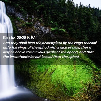 Picture 02 - Exodus 28:28 KJV - And they shall bind the breastplate by the rings - Bible Verse Picture