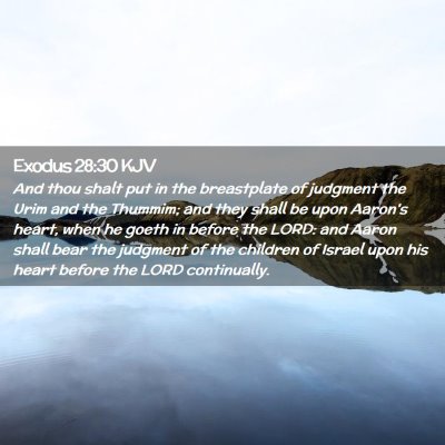 Picture 02 - Exodus 28:30 KJV - And thou shalt put in the breastplate of judgment - Bible Verse Picture
