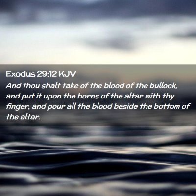 Picture 02 - Exodus 29:12 KJV - And thou shalt take of the blood of the bullock, - Bible Verse Picture