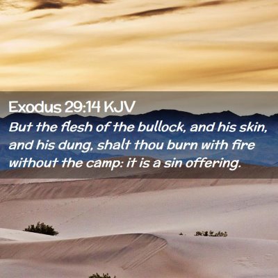 Picture 02 - Exodus 29:14 KJV - But the flesh of the bullock, and his skin, and - Bible Verse Picture