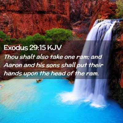Picture 02 - Exodus 29:15 KJV - Thou shalt also take one ram; and Aaron and his - Bible Verse Picture