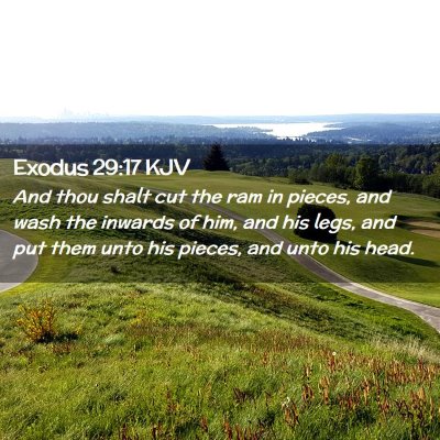 Picture 02 - Exodus 29:17 KJV - And thou shalt cut the ram in pieces, and wash - Bible Verse Picture