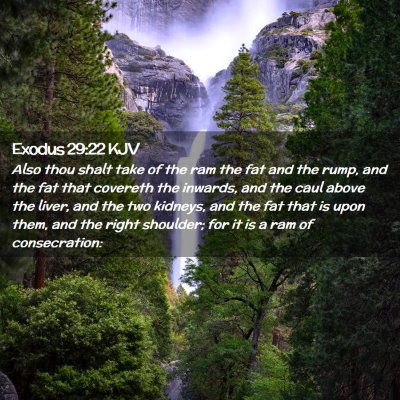 Picture 02 - Exodus 29:22 KJV - Also thou shalt take of the ram the fat and the - Bible Verse Picture