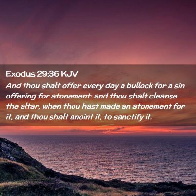 Picture 02 - Exodus 29:36 KJV - And thou shalt offer every day a bullock for a - Bible Verse Picture