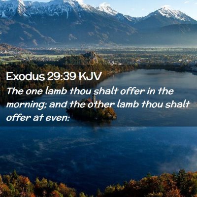 Picture 02 - Exodus 29:39 KJV - The one lamb thou shalt offer in the morning; and - Bible Verse Picture