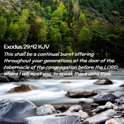 Picture 02 - Exodus 29:42 KJV - This shall be a continual burnt offering - Bible Verse Picture