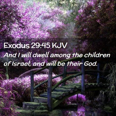 Picture 02 - Exodus 29:45 KJV - And I will dwell among the children of Israel, - Bible Verse Picture
