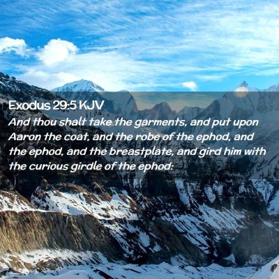 Picture 02 - Exodus 29:5 KJV - And thou shalt take the garments, and put upon - Bible Verse Picture
