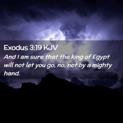 Picture 02 - Exodus 3:19 KJV - And I am sure that the king of Egypt will not let - Bible Verse Picture
