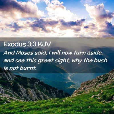 Picture 02 - Exodus 3:3 KJV - And Moses said, I will now turn aside, and see - Bible Verse Picture