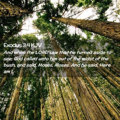 Picture 02 - Exodus 3:4 KJV - And when the LORD saw that he turned aside to - Bible Verse Picture
