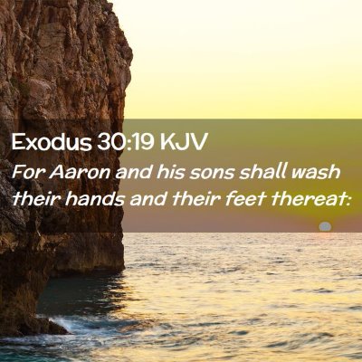 Picture 02 - Exodus 30:19 KJV - For Aaron and his sons shall wash their hands and - Bible Verse Picture