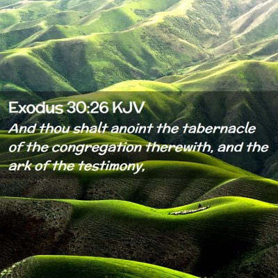 Picture 02 - Exodus 30:26 KJV - And thou shalt anoint the tabernacle of the - Bible Verse Picture