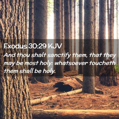 Picture 02 - Exodus 30:29 KJV - And thou shalt sanctify them, that they may be - Bible Verse Picture