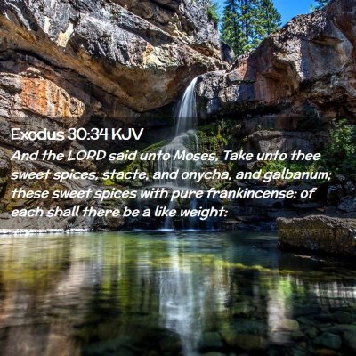 Picture 02 - Exodus 30:34 KJV - And the LORD said unto Moses, Take unto thee - Bible Verse Picture