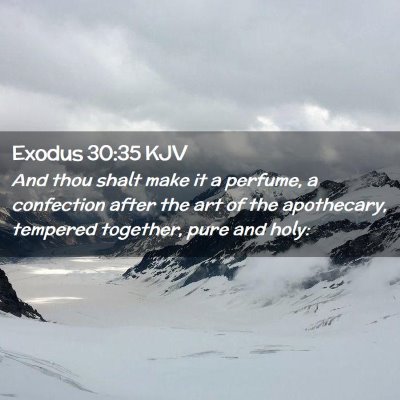 Picture 02 - Exodus 30:35 KJV - And thou shalt make it a perfume, a confection - Bible Verse Picture