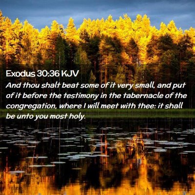 Picture 02 - Exodus 30:36 KJV - And thou shalt beat some of it very small, and - Bible Verse Picture
