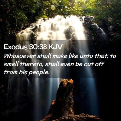 Picture 02 - Exodus 30:38 KJV - Whosoever shall make like unto that, to smell - Bible Verse Picture