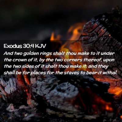 Picture 02 - Exodus 30:4 KJV - And two golden rings shalt thou make to it under - Bible Verse Picture