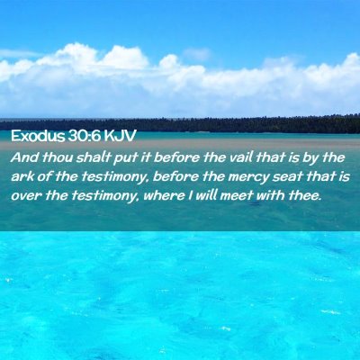 Picture 02 - Exodus 30:6 KJV - And thou shalt put it before the vail that is by - Bible Verse Picture