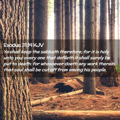 Picture 02 - Exodus 31:14 KJV - Ye shall keep the sabbath therefore; for it is - Bible Verse Picture