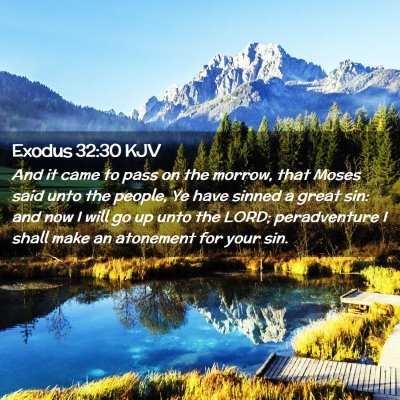 Picture 02 - Exodus 32:30 KJV - And it came to pass on the morrow, that Moses - Bible Verse Picture