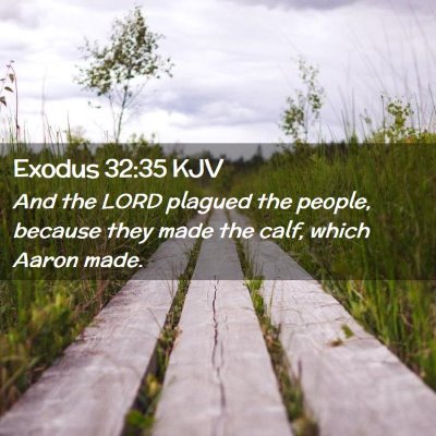 Picture 02 - Exodus 32:35 KJV - And the LORD plagued the people, because they - Bible Verse Picture