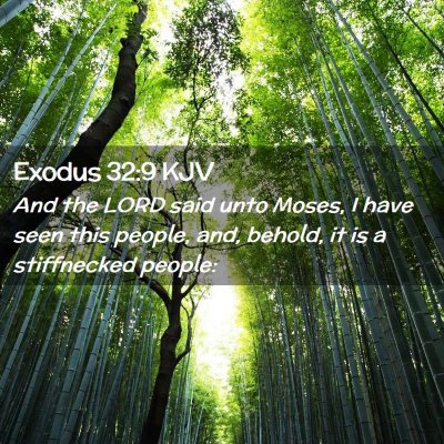 Picture 02 - Exodus 32:9 KJV - And the LORD said unto Moses, I have seen this - Bible Verse Picture