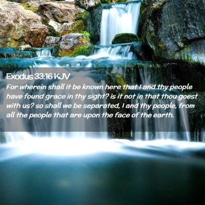 Picture 02 - Exodus 33:16 KJV - For wherein shall it be known here that I and thy - Bible Verse Picture