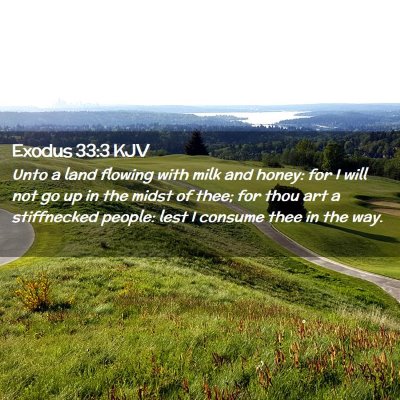 Picture 02 - Exodus 33:3 KJV - Unto a land flowing with milk and honey: for I - Bible Verse Picture