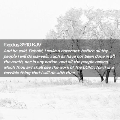 Picture 02 - Exodus 34:10 KJV - And he said, Behold, I make a covenant: before - Bible Verse Picture