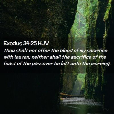 Picture 02 - Exodus 34:25 KJV - Thou shalt not offer the blood of my sacrifice - Bible Verse Picture
