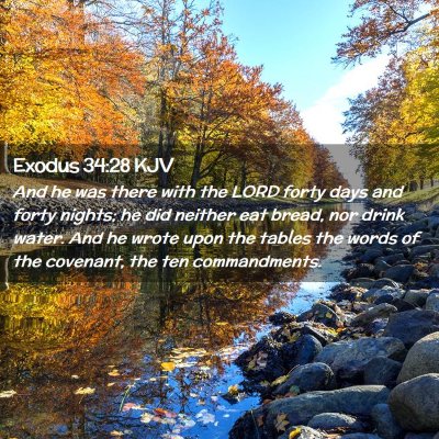 Picture 02 - Exodus 34:28 KJV - And he was there with the LORD forty days and - Bible Verse Picture