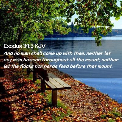 Picture 02 - Exodus 34:3 KJV - And no man shall come up with thee, neither let - Bible Verse Picture