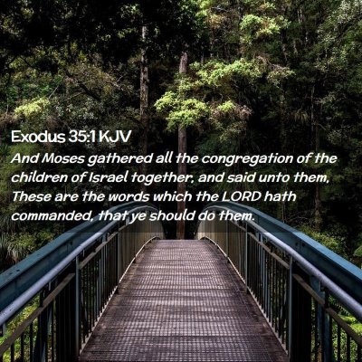Picture 02 - Exodus 35:1 KJV - And Moses gathered all the congregation of the - Bible Verse Picture