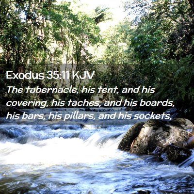 Picture 02 - Exodus 35:11 KJV - The tabernacle, his tent, and his covering, his - Bible Verse Picture