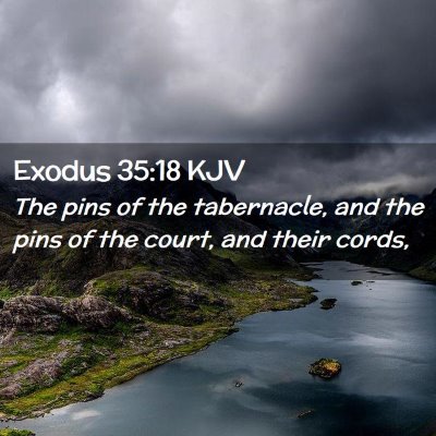 Picture 02 - Exodus 35:18 KJV - The pins of the tabernacle, and the pins of the - Bible Verse Picture