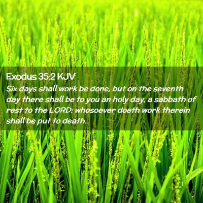 Picture 02 - Exodus 35:2 KJV - Six days shall work be done, but on the seventh - Bible Verse Picture
