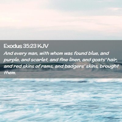Picture 02 - Exodus 35:23 KJV - And every man, with whom was found blue, and - Bible Verse Picture