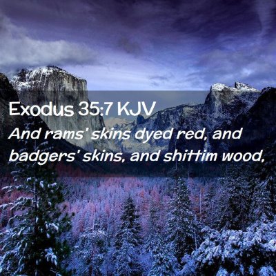 Picture 02 - Exodus 35:7 KJV - And rams' skins dyed red, and badgers' skins, and - Bible Verse Picture