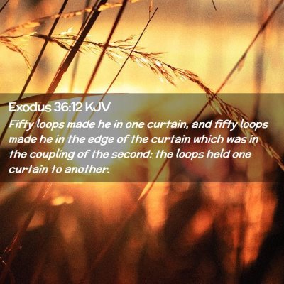 Picture 02 - Exodus 36:12 KJV - Fifty loops made he in one curtain, and fifty - Bible Verse Picture