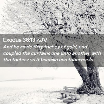 Picture 02 - Exodus 36:13 KJV - And he made fifty taches of gold, and coupled the - Bible Verse Picture