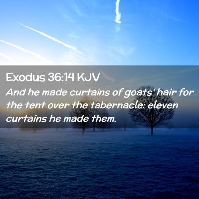 Picture 02 - Exodus 36:14 KJV - And he made curtains of goats' hair for the tent - Bible Verse Picture