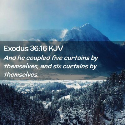 Picture 02 - Exodus 36:16 KJV - And he coupled five curtains by themselves, and - Bible Verse Picture