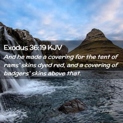 Picture 02 - Exodus 36:19 KJV - And he made a covering for the tent of rams' - Bible Verse Picture