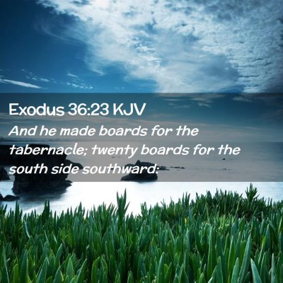 Picture 02 - Exodus 36:23 KJV - And he made boards for the tabernacle; twenty - Bible Verse Picture