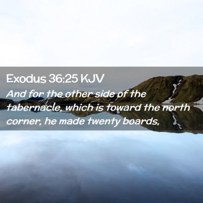 Picture 02 - Exodus 36:25 KJV - And for the other side of the tabernacle, which - Bible Verse Picture
